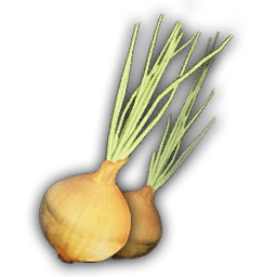 Onion