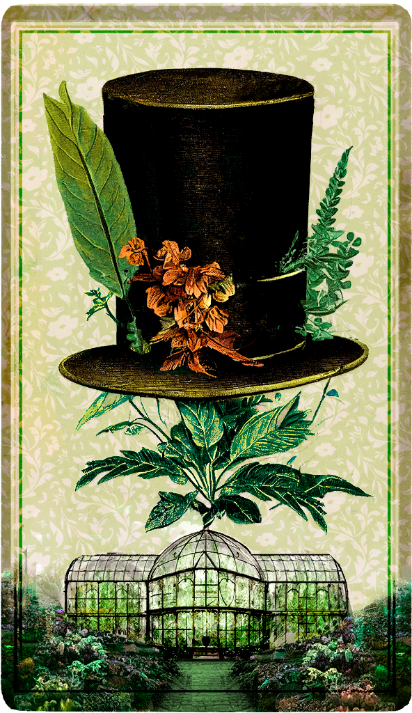 Herbarium Desert