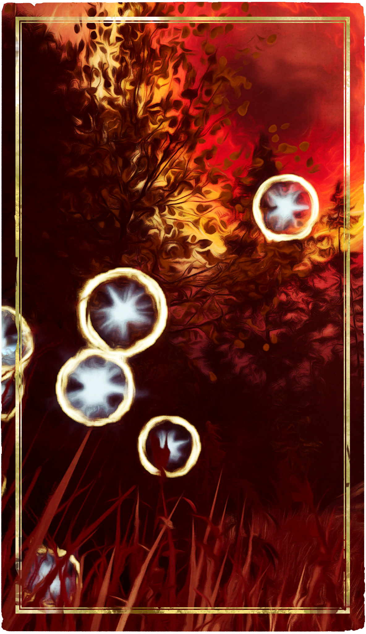 Will of the Wisps Card