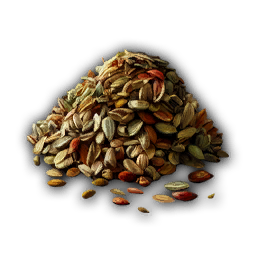 Seed