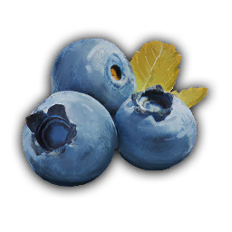 Raw Berries
