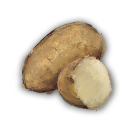 Potato